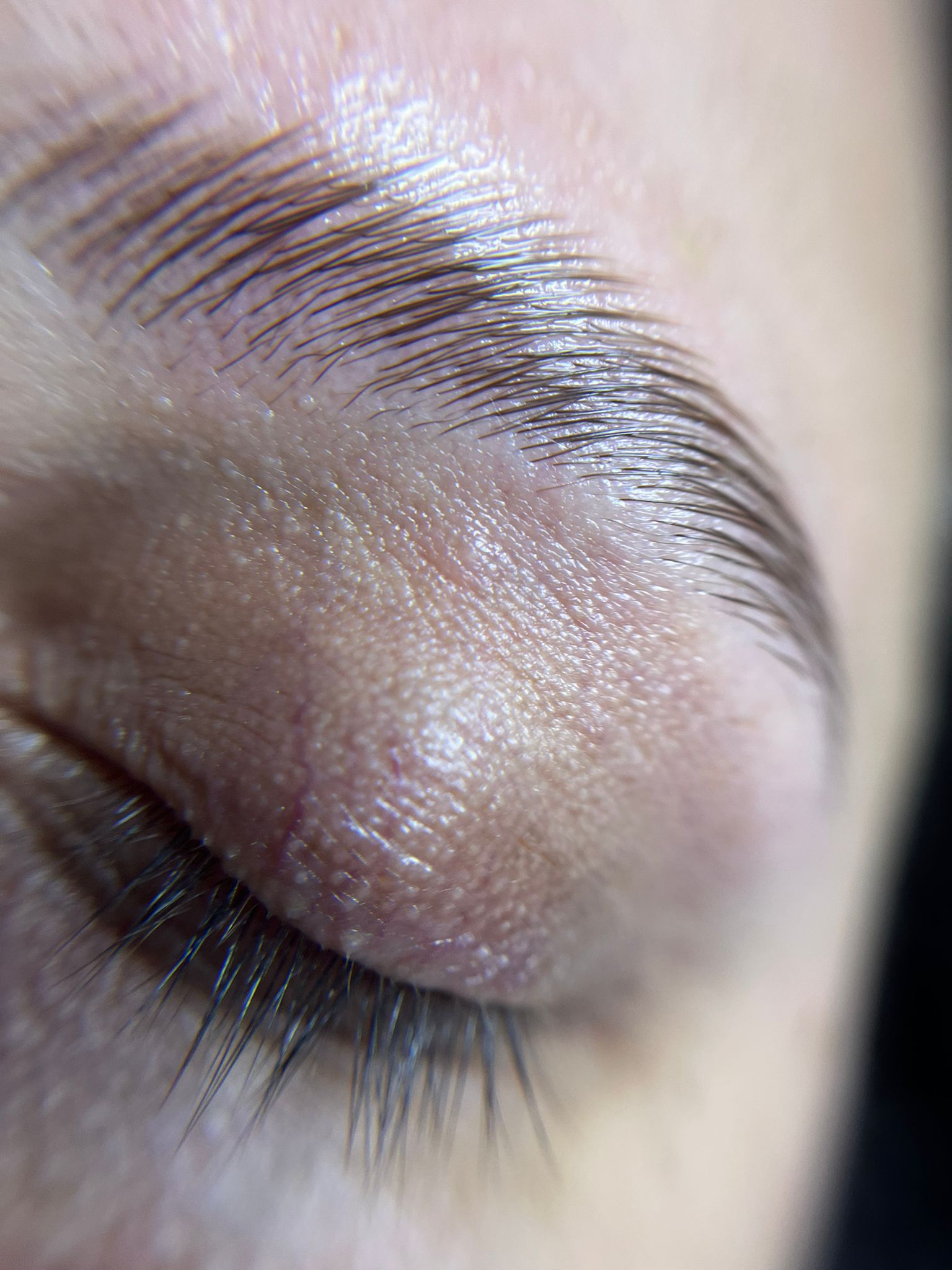 Laminado de cejas para definición y peinado duradero